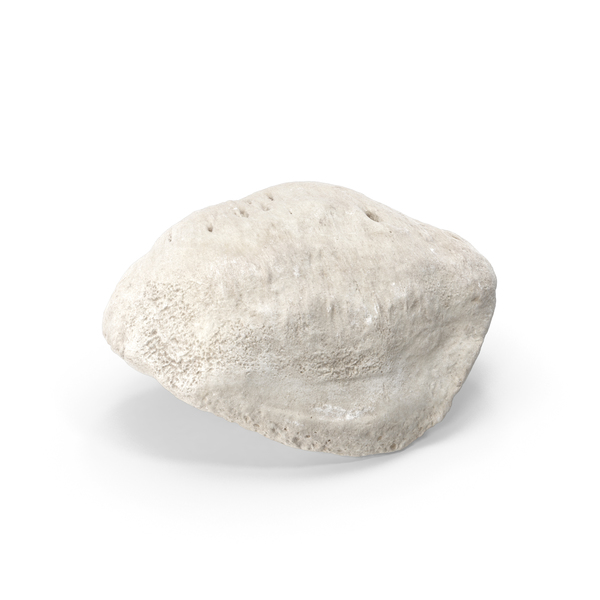 Knee Cap: Human Patella Bone Kneecap White PNG & PSD Images Knee Cap: Human Patella Bone Kneecap White PNG & PSD Images