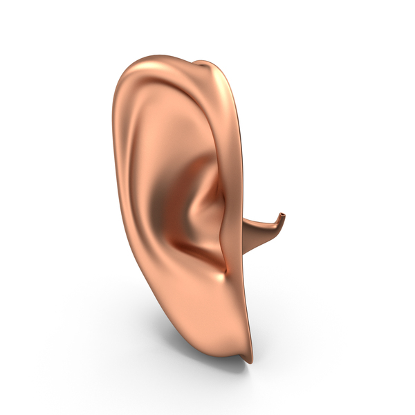 Human Right Ear Copper PNG & PSD Images