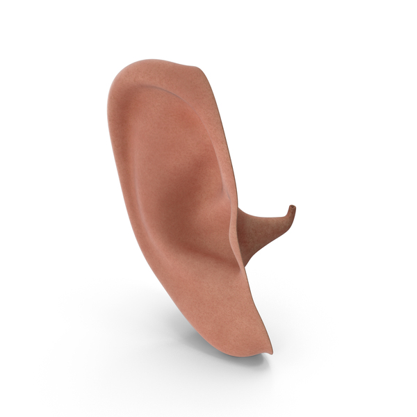 Human Right Ear Realistic PNG Images & PSDs for Download | PixelSquid ...