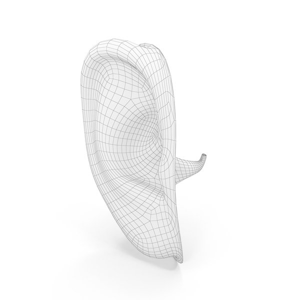 Human Right Ear Wireframe PNG & PSD Images Human Right Ear Wireframe PNG & PSD Images