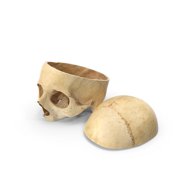 Human Skull Cut With Piece PNG & PSD Images Human Skull Cut With Piece PNG & PSD Images