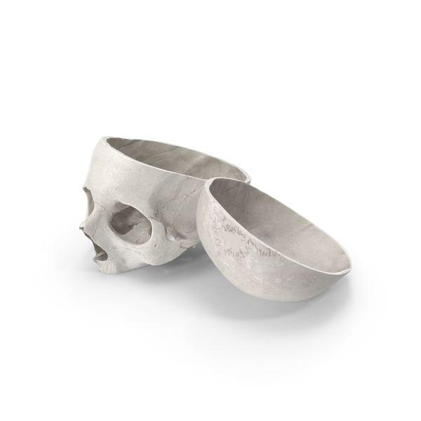 Human Skull Cut With Piece PNG & PSD Images Human Skull Cut With Piece PNG & PSD Images