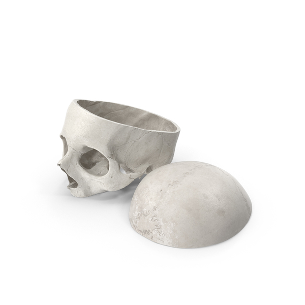 Human Skull Cut With Piece White PNG & PSD Images Human Skull Cut With Piece White PNG & PSD Images