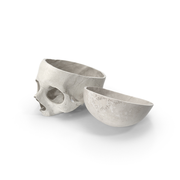 Human Skull Cut With Piece White PNG & PSD Images Human Skull Cut With Piece White PNG & PSD Images
