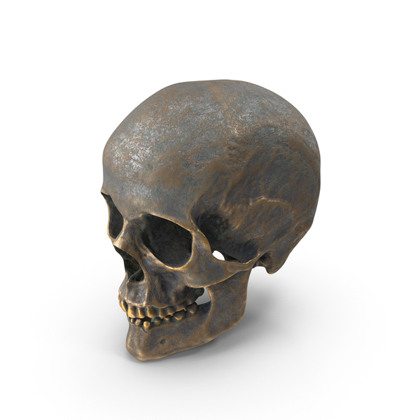 Human Skull Old Gold PNG & PSD Images Human Skull Old Gold PNG & PSD Images