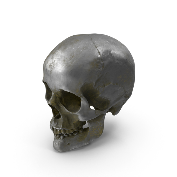 Human Skull Old Silver PNG & PSD Images Human Skull Old Silver PNG & PSD Images