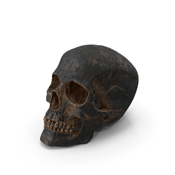 Human Skull Sci Fi Iron Posed PNG & PSD Images Human Skull Sci Fi Iron Posed PNG & PSD Images