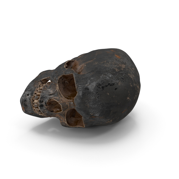 Human Skull Sci Fi Iron Posed PNG & PSD Images Human Skull Sci Fi Iron Posed PNG & PSD Images