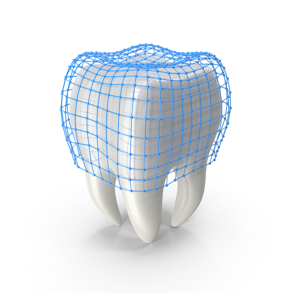 Human Tooth with Protection Grid PNG & PSD Images Human Tooth with Protection Grid PNG & PSD Images