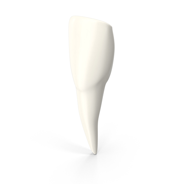 Incisor Tooth PNG & PSD Images Incisor Tooth PNG & PSD Images