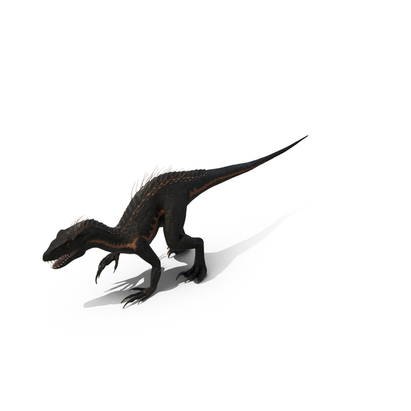 Dinosaur: Indoraptor Crouching Pose PNG & PSD Images