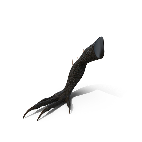 Dinosaur: Indoraptor Paw PNG & PSD Images Dinosaur: Indoraptor Paw PNG & PSD Images