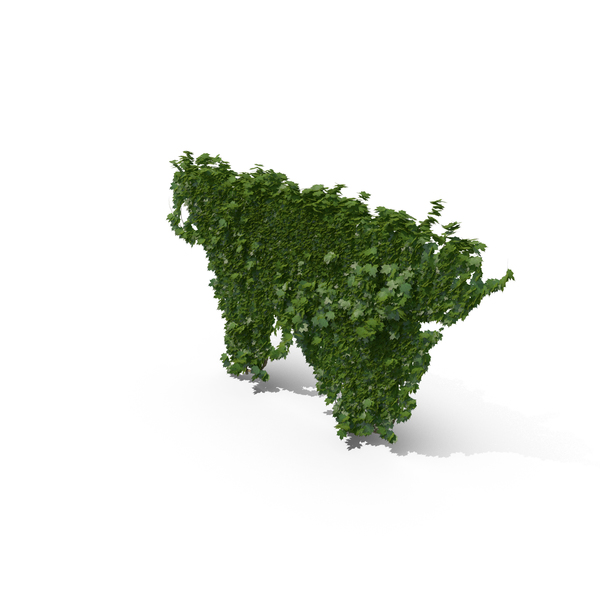 Ivy PNG & PSD Images Ivy PNG & PSD Images