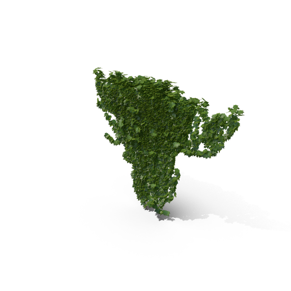 Ivy PNG & PSD Images Ivy PNG & PSD Images
