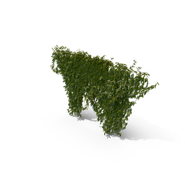Ivy PNG & PSD Images Ivy PNG & PSD Images
