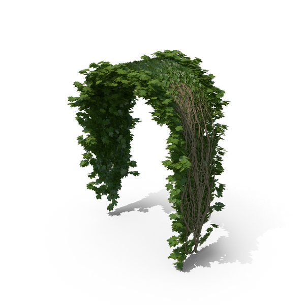 Ivy Arch PNG & PSD Images Ivy Arch PNG & PSD Images
