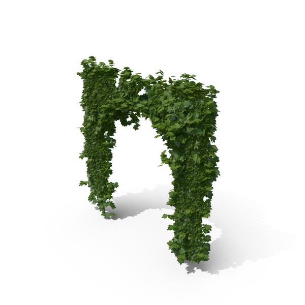 Ivy Archway PNG & PSD Images Ivy Archway PNG & PSD Images