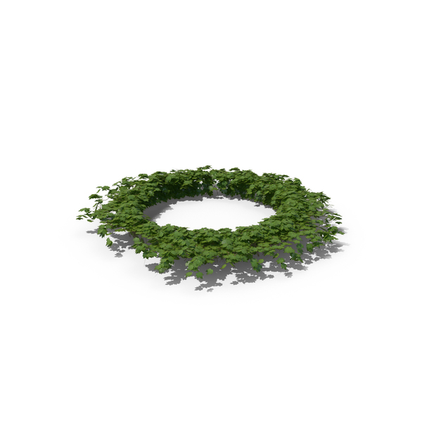 Ivy Circle PNG & PSD Images Ivy Circle PNG & PSD Images