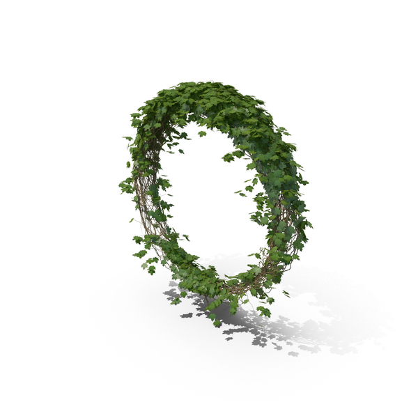 Ivy Circle PNG & PSD Images Ivy Circle PNG & PSD Images