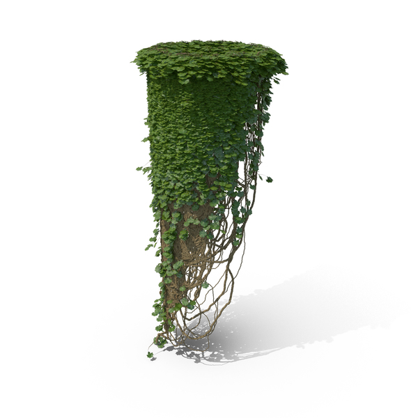 With: Ivy Column PNG & PSD Images With: Ivy Column PNG & PSD Images