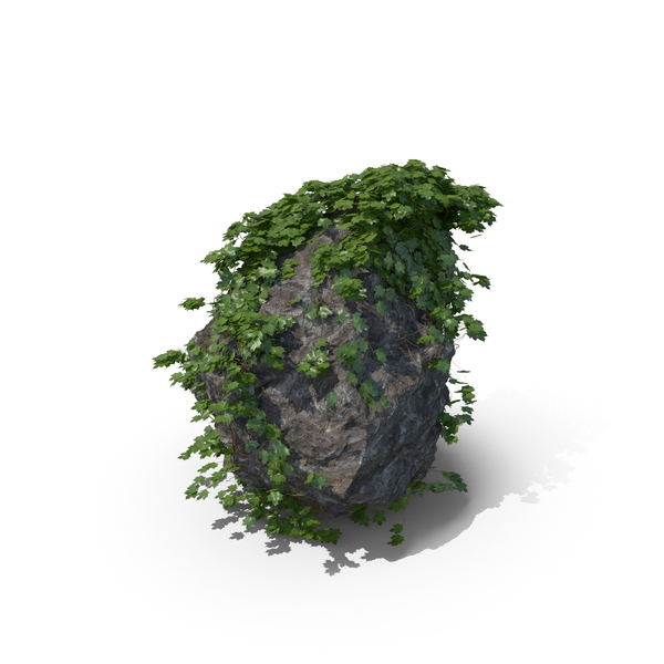 Ivy Covered Rock PNG & PSD Images Ivy Covered Rock PNG & PSD Images