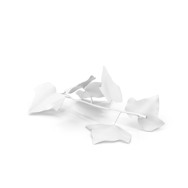 Ivy Leaf PNG & PSD Images