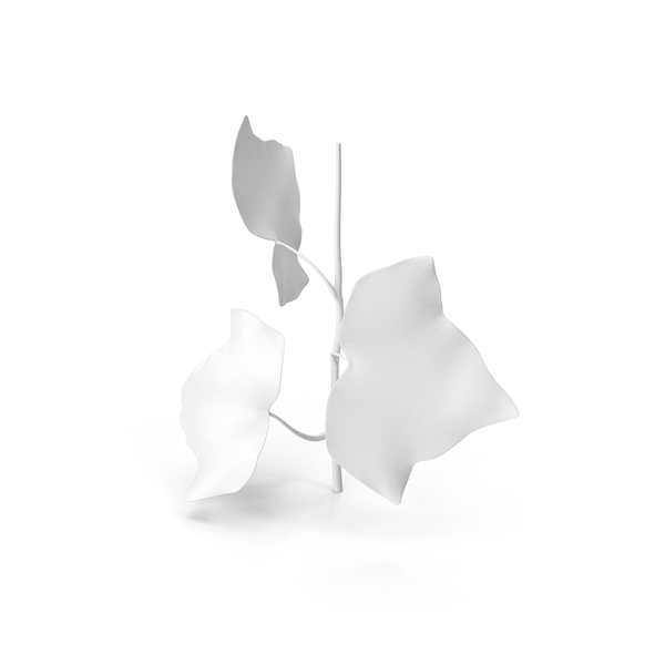 Ivy Leaf PNG & PSD Images Ivy Leaf PNG & PSD Images
