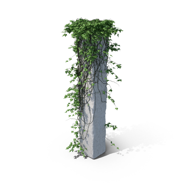 Ivy on a Column PNG & PSD Images Ivy on a Column PNG & PSD Images