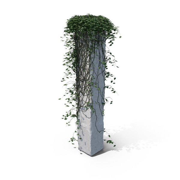 Ivy on a Column PNG & PSD Images Ivy on a Column PNG & PSD Images