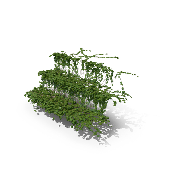 Ivy Stairs PNG & PSD Images Ivy Stairs PNG & PSD Images