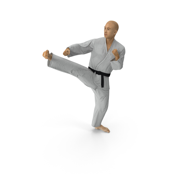 Martial Artist: Japanese Karate Fighter Pose PNG & PSD Images