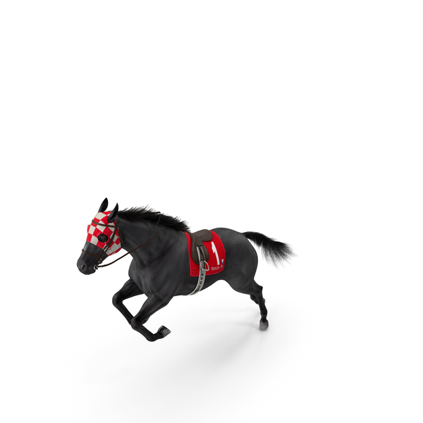 Jumping Black Racing Horse Fur PNG & PSD Images Jumping Black Racing Horse Fur PNG & PSD Images
