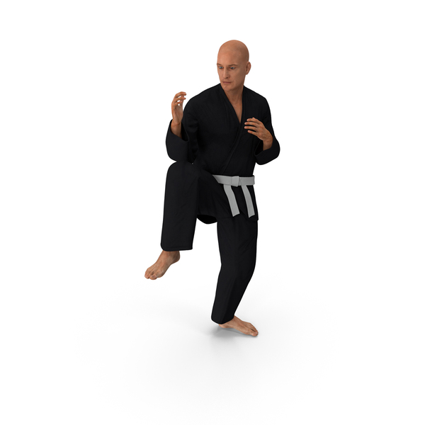 Martial Artist: Karate Fighter Pose Black Suit PNG & PSD Images