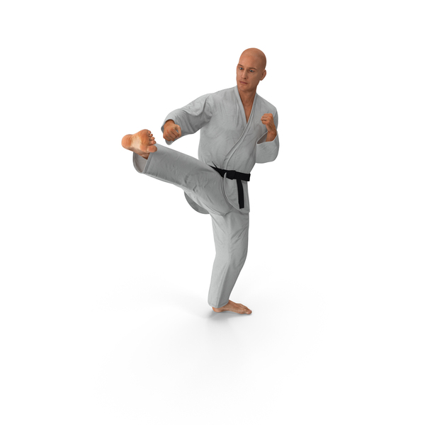 Martial Artist: Karate Fighter Pose PNG & PSD Images