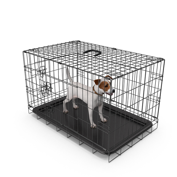 Pet Carrier: Kennel Cage with Jack Russell Terrier Fur PNG & PSD Images
