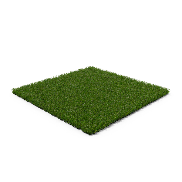 Summer Grass: Kentucky Bluegrass PNG & PSD Images Summer Grass: Kentucky Bluegrass PNG & PSD Images
