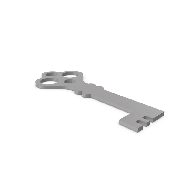Computer: Key Grey Icon PNG & PSD Images Computer: Key Grey Icon PNG & PSD Images