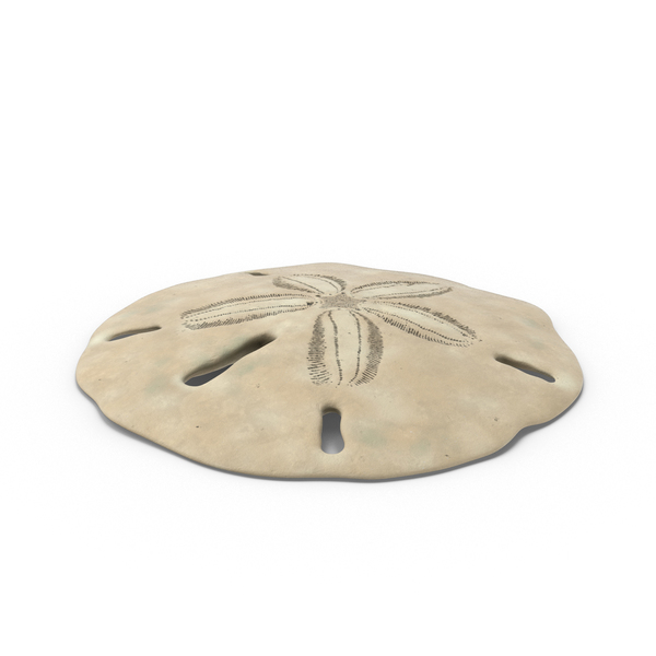 Seashell: Keyhole Sand Dollar PNG & PSD Images