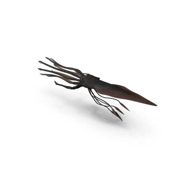 Kraken PNG & PSD Images Kraken PNG & PSD Images