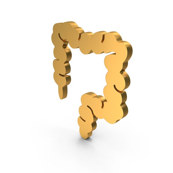 Symbols: Large Intestine Icon PNG & PSD Images