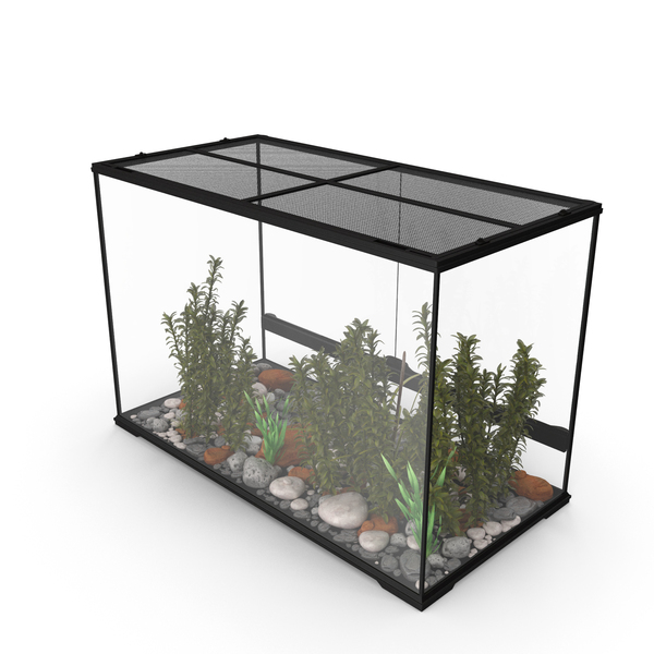 Large Terrarium with Plants Garden PNG Images & PSDs for Download ...