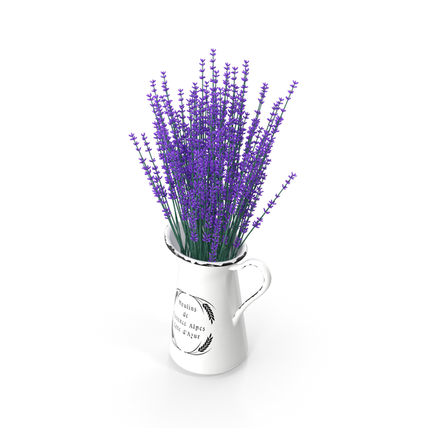 Lavender PNG & PSD Images Lavender PNG & PSD Images