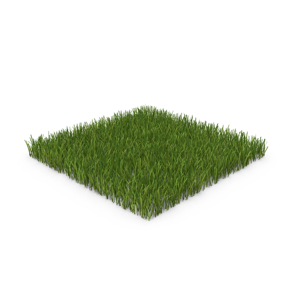 Lawn Grass PNG Images & PSDs for Download | PixelSquid - S117282048