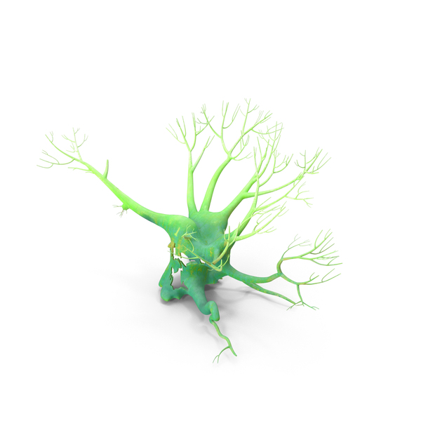 Leafless Evil Green Shine Tree PNG & PSD Images Leafless Evil Green Shine Tree PNG & PSD Images