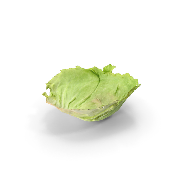 Lettuce Leaf PNG & PSD Images