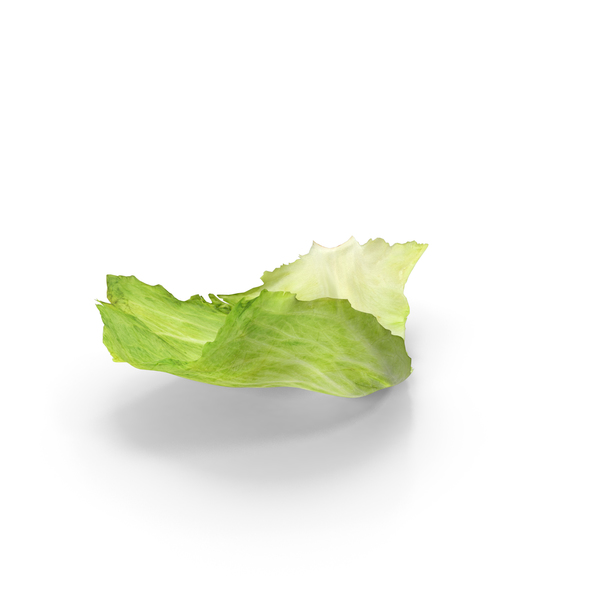 Lettuce Leaf PNG & PSD Images