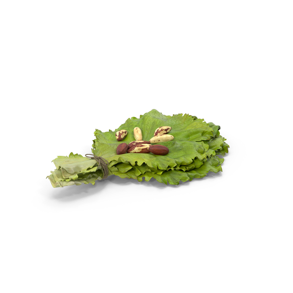 Nut: Lettuce Leafs with Brazil Nuts PNG & PSD Images Nut: Lettuce Leafs with Brazil Nuts PNG & PSD Images