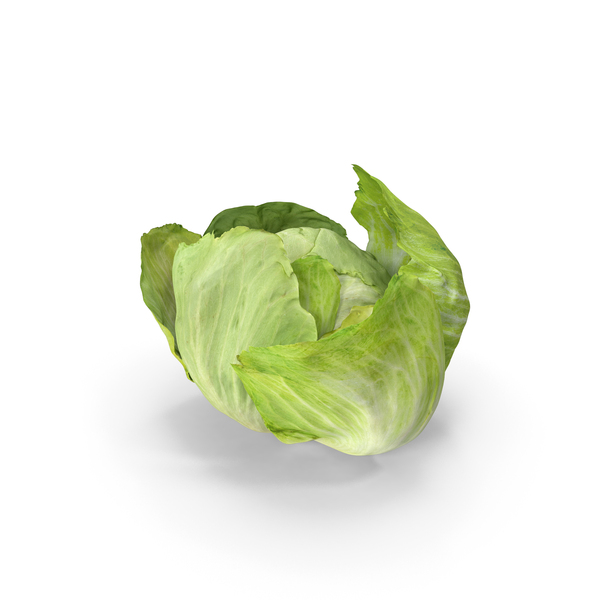 Lettuce Open PNG & PSD Images Lettuce Open PNG & PSD Images