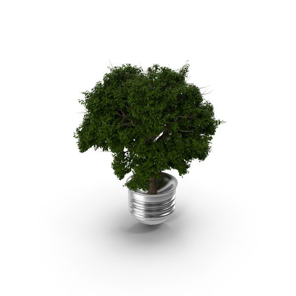 Light Bulb Tree PNG & PSD Images Light Bulb Tree PNG & PSD Images