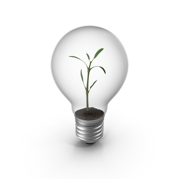 Lightbulb Plant PNG & PSD Images Lightbulb Plant PNG & PSD Images